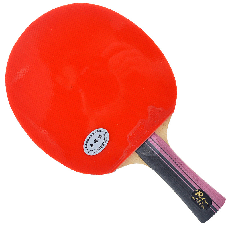 Original PALIO 3 Stars Carbon  – Table Tennis History Bewertung und Preis