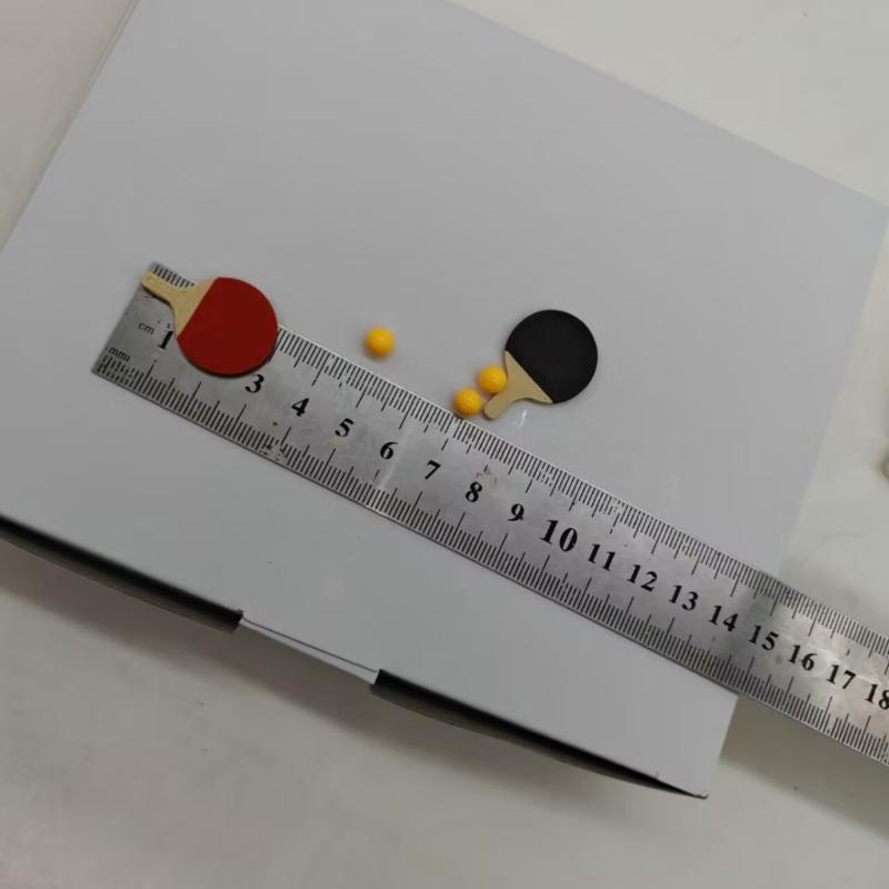 1Set Dollhouse Miniature Ping  – Table Tennis Market Bewertung und Preis