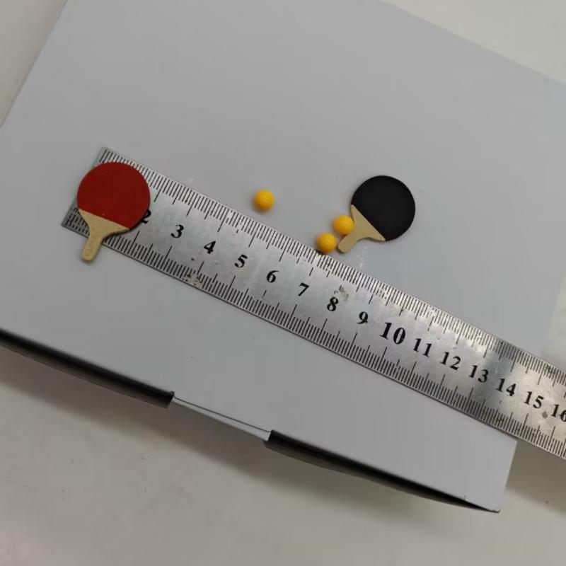 1Set Dollhouse Miniature Ping  – Table Tennis Market Bewertung und Preis