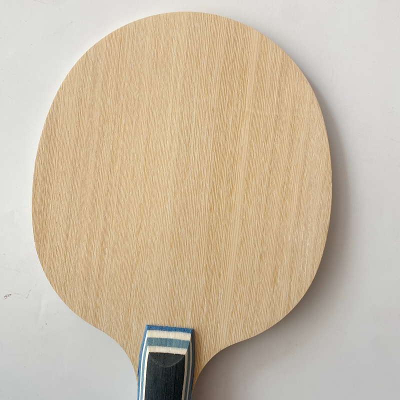 Lemuria VIS Carbon Fiber Table – Table Tennis Viscaria Bewertung und Preis