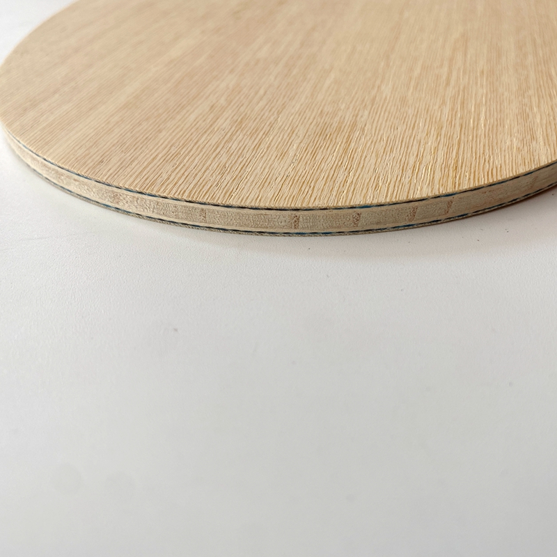 Lemuria VIS Carbon Fiber Table – Table Tennis Viscaria Bewertung und Preis
