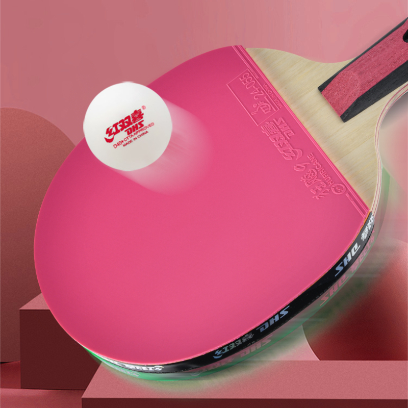 DHS 6 Star Table Tennis Racket – Table Tennis World Bewertung und Preis