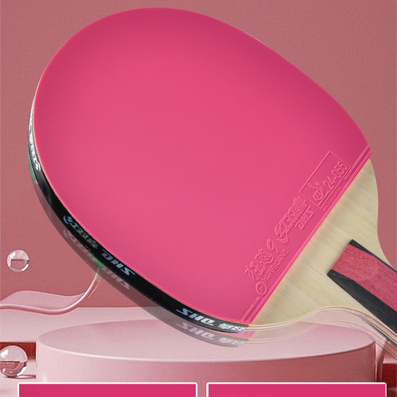DHS 6 Star Table Tennis Racket – Table Tennis World Bewertung und Preis